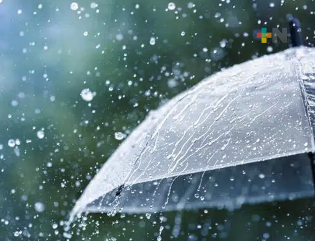 SPC emitiría alerta gris por lluvias en el estado de Veracruz; afectarían más al sur